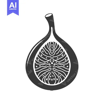 Aset desain premium: Black and White Illustration of a Halved Fig