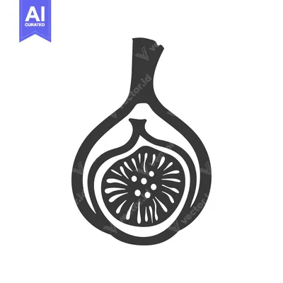 Aset premium populer: Black and white illustration of a halved fig with seeds