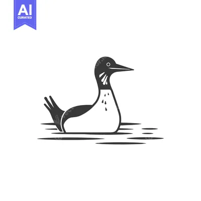 Premium design asset: Black and White Illustration of a Loon Swimming in Water