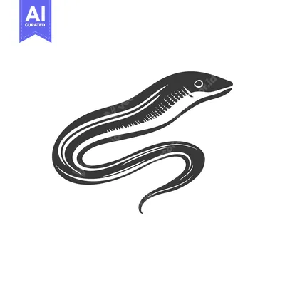 Aset premium populer: Black and White Illustration of a Moray Eel