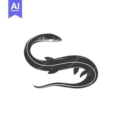 Premium design asset: Black and White Illustration of a Moray Eel