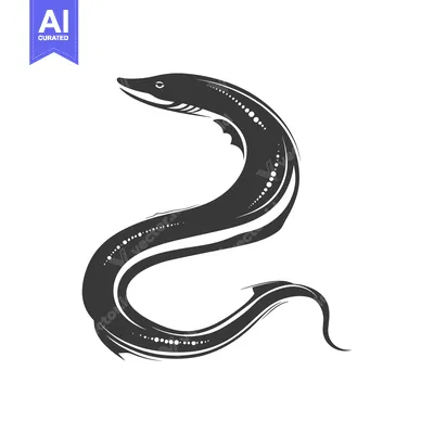 Premium design asset: Black and white illustration of a moray eel in a swimming position