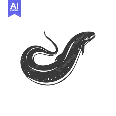 Aset desain premium: Black and White Illustration of a Moray Eel with its Mouth Open