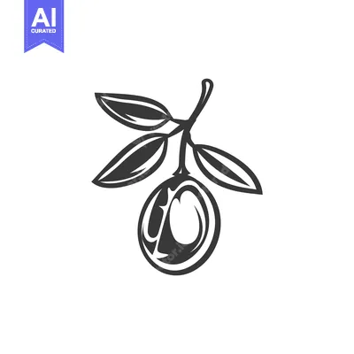 Aset premium populer: Black and White Illustration of an Olive Branch