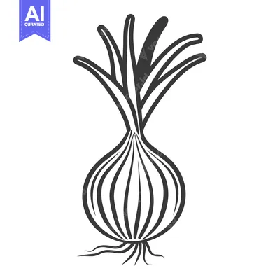 Popular premium asset: Black and White Illustration of an Onion Plant