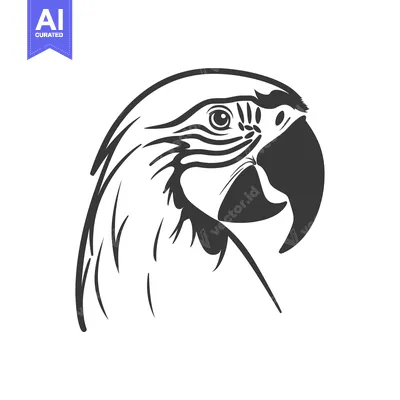Aset desain premium: Black and White Illustration of a Parrot's Head
