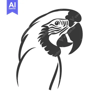 Aset premium populer: Black and White Illustration of a Parrot's Head