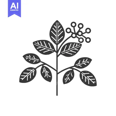Aset desain premium: Black and White Illustration of a Plant with Leaves and Berries
