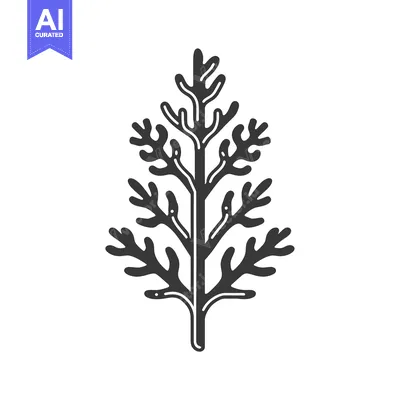 Aset premium populer: Black and White Illustration of a Plant with Multiple Branches and Lea