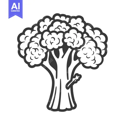 Popular premium asset: Black and White Illustration of a Single Broccoli Floret