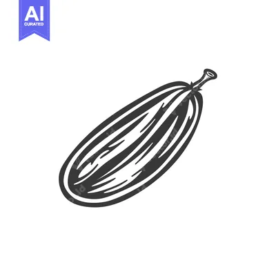 Black and White Illustration of a Single Cardamom Pod