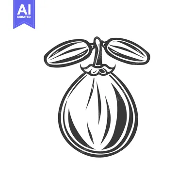 Aset premium populer: Black and White Illustration of a Single Fig