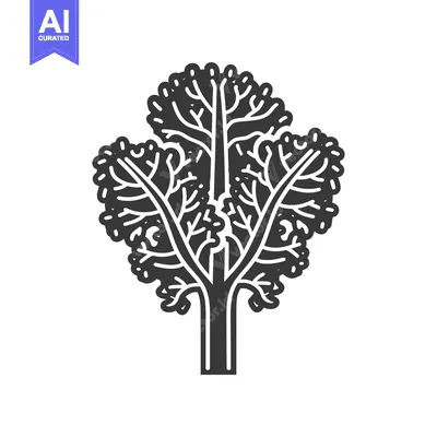 Black and white illustration of a single head of kale