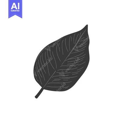 Popular premium asset: Black and White Illustration of a Single Leaf with Veins