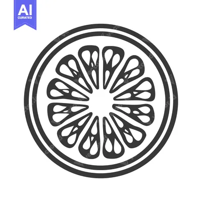 Aset premium populer: Black and White Illustration of a Sliced Citrus Fruit