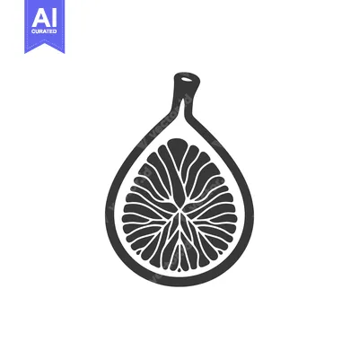 Aset desain premium: Black and White Illustration of a Sliced Fig