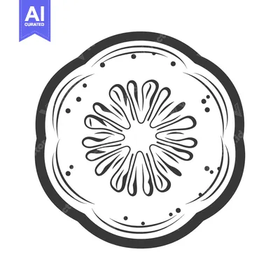 Aset desain premium: Black and white illustration of a sliced kiwi fruit