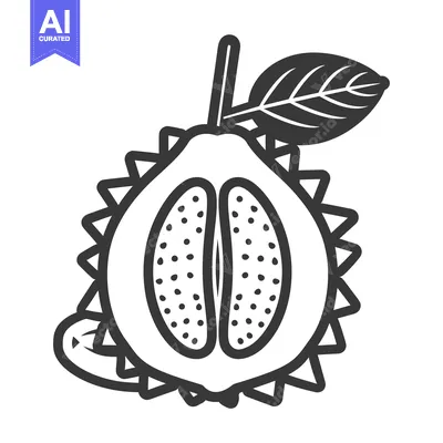 Premium design asset: Black and White Illustration of a Spiky, Halved Fruit with Seeds
