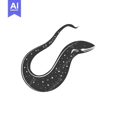 Aset premium populer: Black and White Illustration of a Spotted Moray Eel
