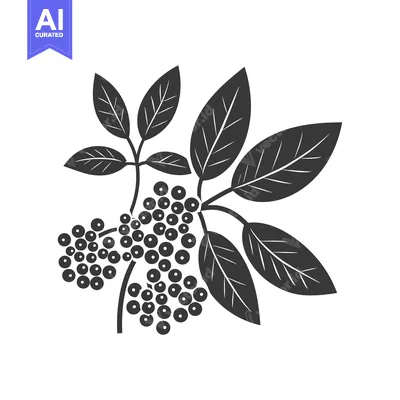 Premium design asset: Black and White Illustration of a Sprig of Berries and Leaves