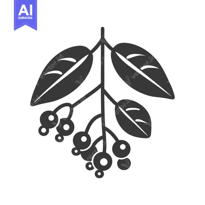 Aset desain premium: Black and white illustration of a sprig with leaves and berries