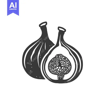Aset desain premium: Black and White Illustration of a Whole and Half Fig