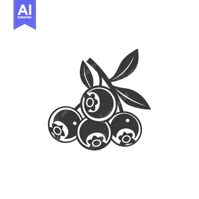 Aset premium populer: Black and White Illustration of Blueberries on a Branch