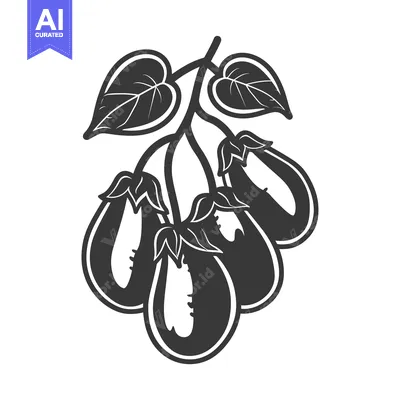 Premium design asset: Black and White Illustration of Eggplants on a Branch