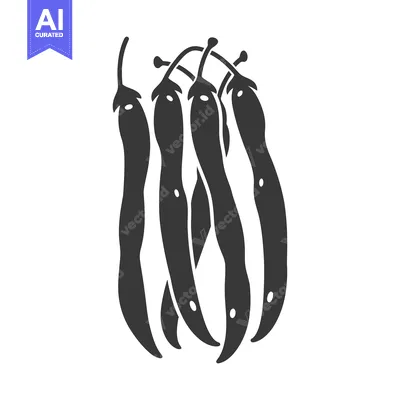 Aset premium populer: Black and White Illustration of Five String Beans