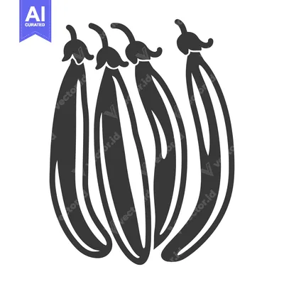 Popular premium asset: Black and White Illustration of Four Bean Pods