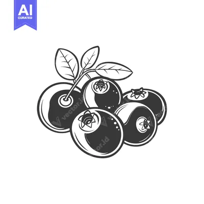 Aset premium populer: Black and White Illustration of Four Blueberries and Leaves