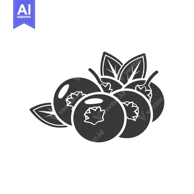 Aset premium populer: Black and White Illustration of Four Blueberries with Leaves