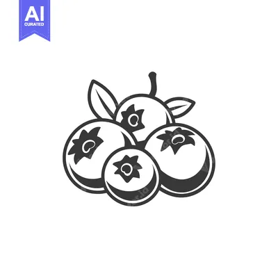 Aset desain premium: Black and White Illustration of Four Blueberries with Leaves