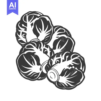 Aset premium populer: Black and White Illustration of Four Napa Cabbage Heads