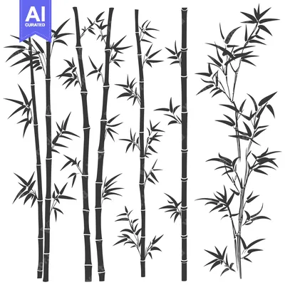 Popular premium asset: Black and White Illustration of Multiple Bamboo Plants