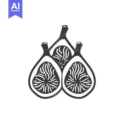 Premium design asset: Black and White Illustration of Three Halved Figs