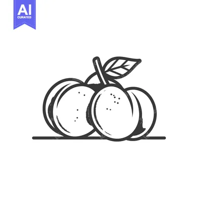 Premium design asset: Black and White Illustration of Three Peaches with a Leaf