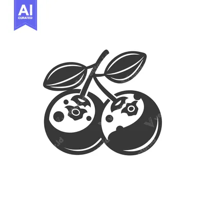 Popular premium asset: Black and White Illustration of Two Blueberries with Stem and Leaves