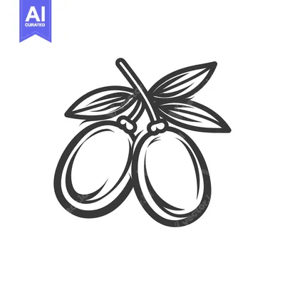 Aset premium populer: Black and White Illustration of Two Olives on a Branch