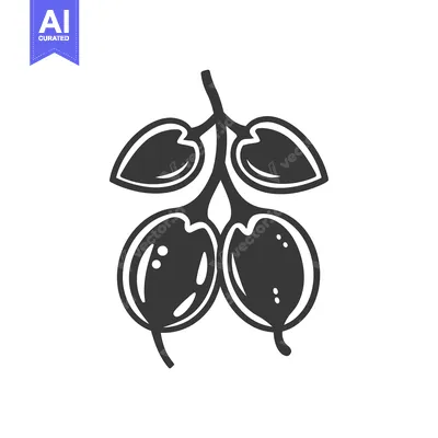 Aset premium populer: Black and white illustration of two round fruits with leaves on a stem