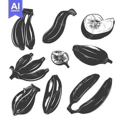Popular premium asset: Black and White Illustration of Various Bananas and Lemon Slices
