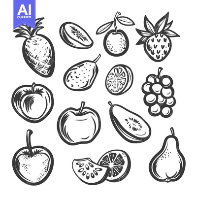 Popular premium asset: Black and White Illustration of Various Fruits and Berries