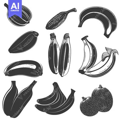 Popular premium asset: Black and White Illustration of Various Fruits and Vegetables