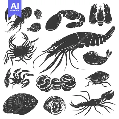 Premium design asset: Black and White Illustration of Various Seafood and Shellfish
