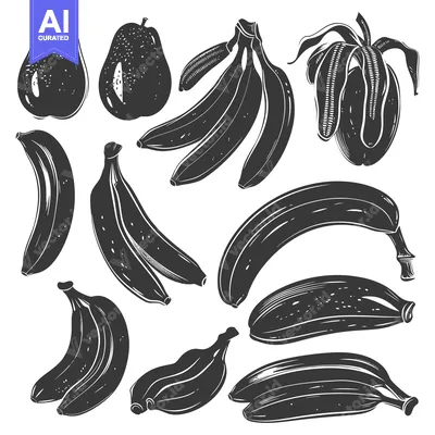 Aset premium populer: Black and White Illustrations of Bananas and Guava