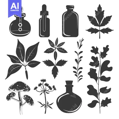 Aset desain premium: Black and White Illustrations of Herbs, Leaves, and Bottles