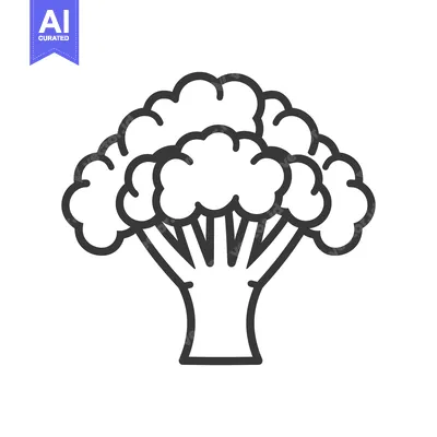 Aset premium populer: Black and white line art drawing of a broccoli floret