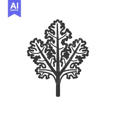 Aset desain premium: Black and white line art drawing of a sprig of parsley