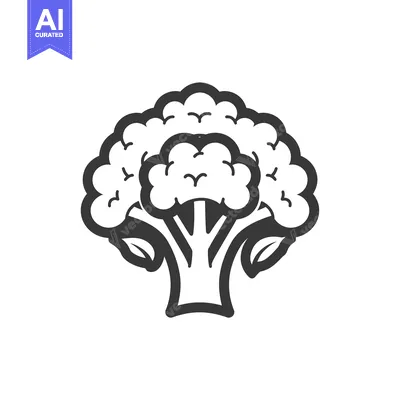 Popular premium asset: Black and white line art illustration of a broccoli