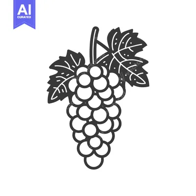 Aset desain premium: Black and white line art illustration of a bunch of grapes with leaves